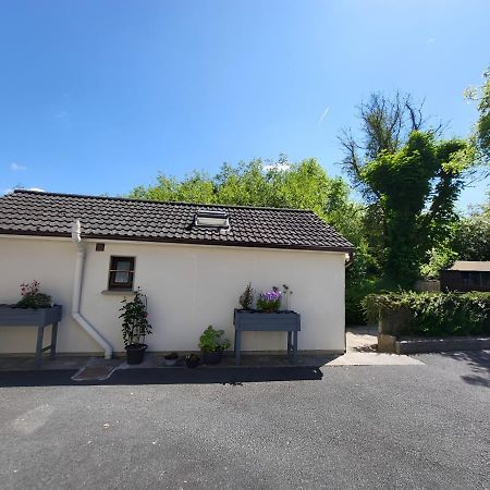 Oak Cottage 3 Km From Rock Of Cashel Cashel  Esterno foto
