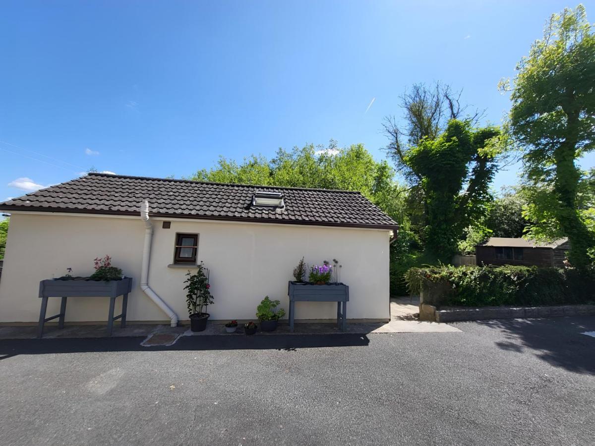 Oak Cottage 3 Km From Rock Of Cashel Cashel  Esterno foto